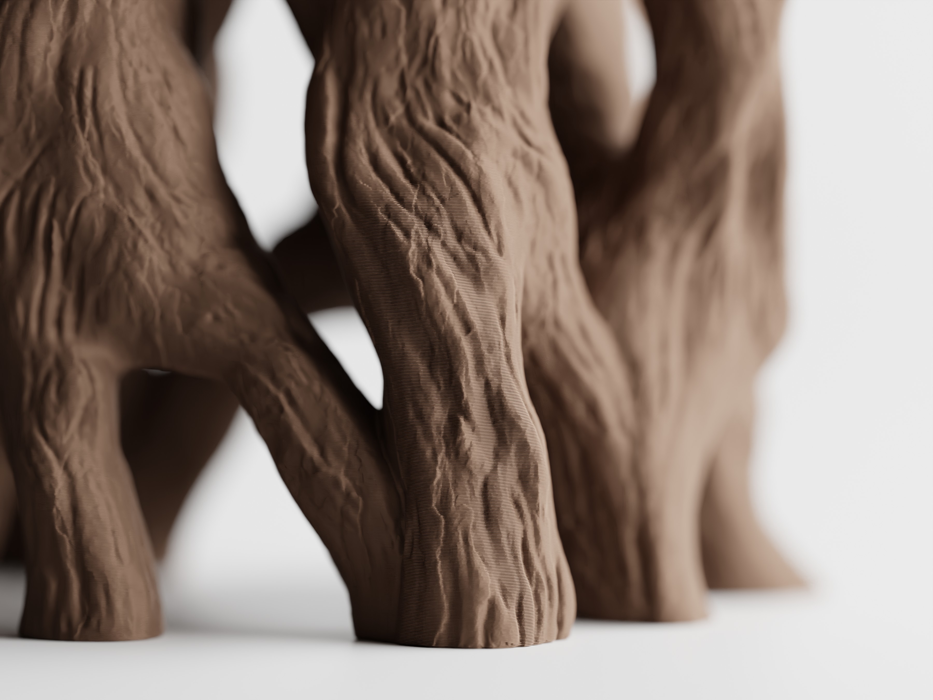 Arboris