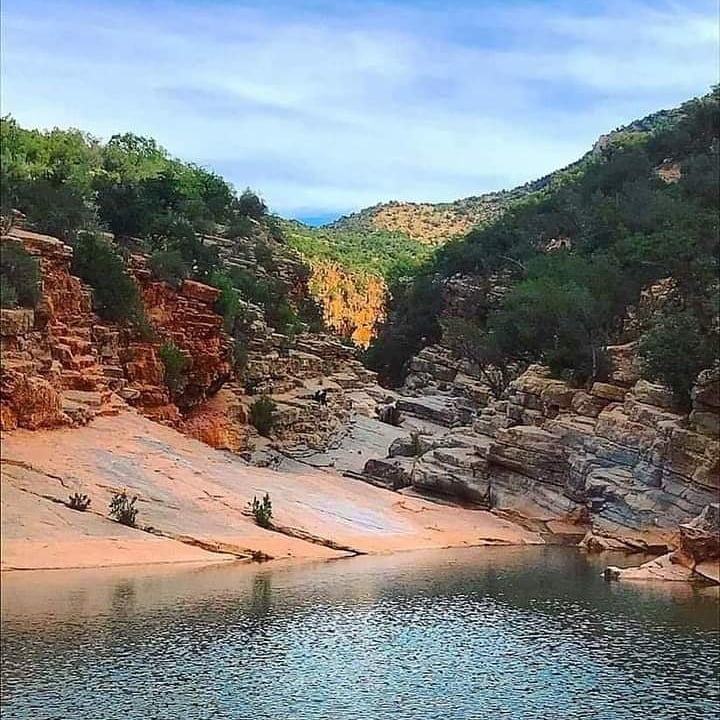 Paradise Valley Tours