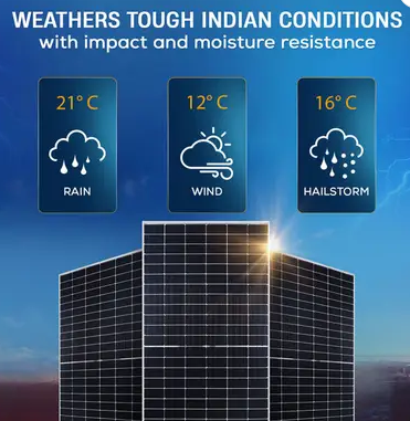LUMINOUS 24585T144-BI TS (Bifacial) Topcon Solar Panel For Home and Industrial use Solar Panel (Pack of 1)