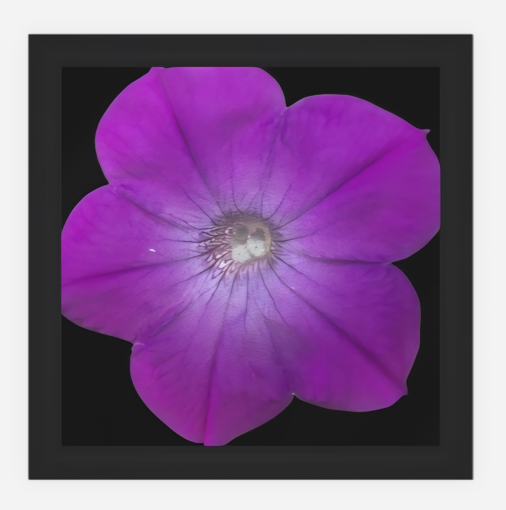 Purple Flower Canvas Art - Laminated 