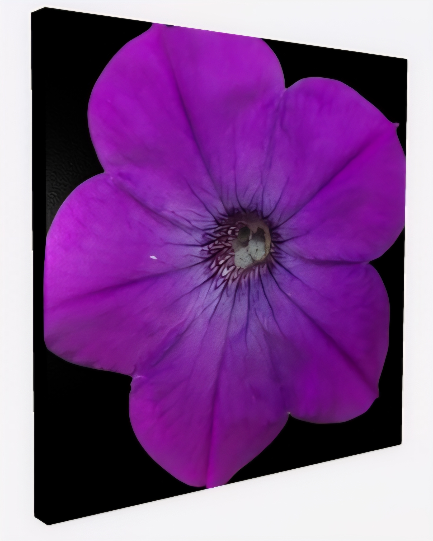 Purple Flower Canvas Art - Laminated 