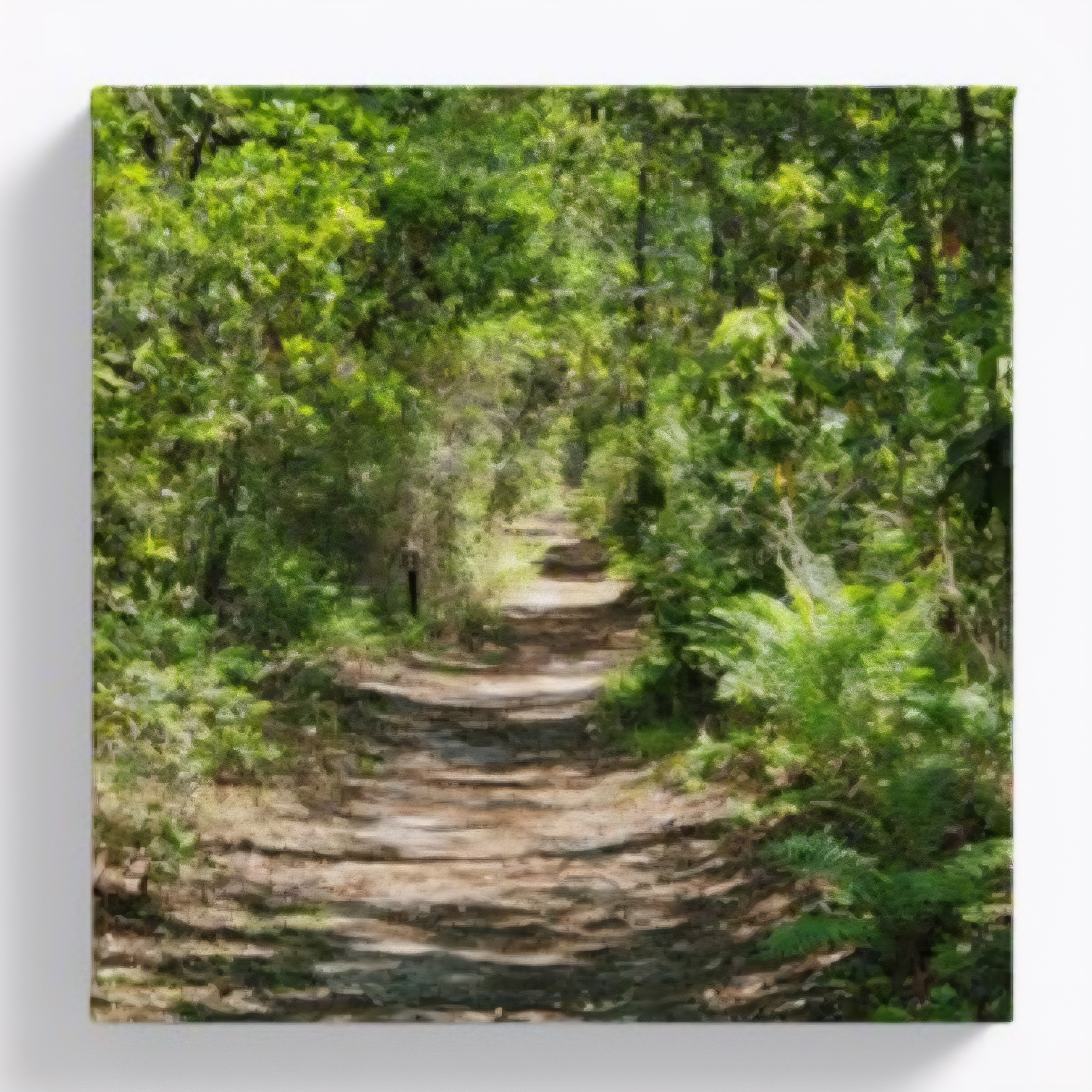 Forest Trail Canvas Print