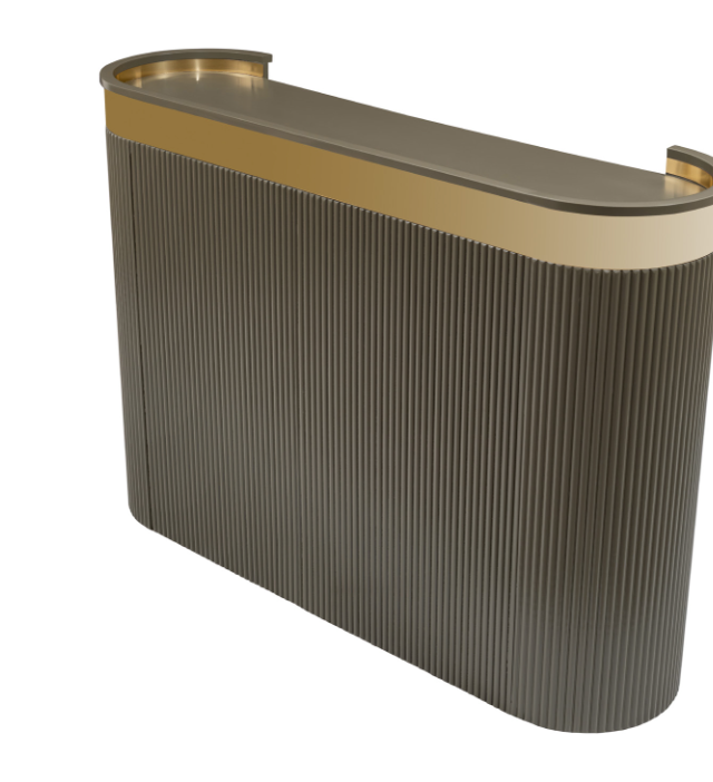 Modern Console Shelf