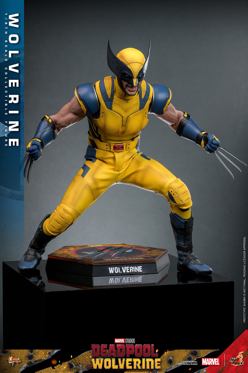 In Stock! Hot Toys MMS753 1/6 Wolverine Collectible Figure Deadpool & Wolverine