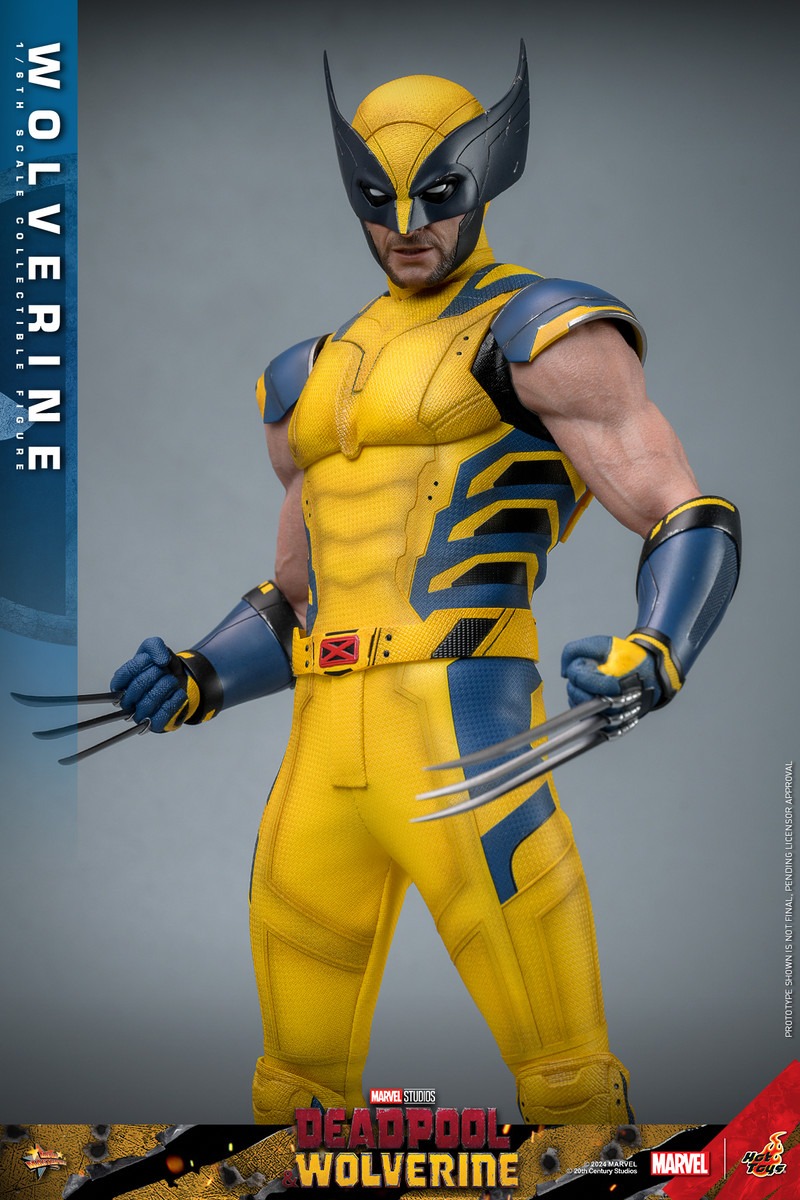 In Stock! Hot Toys MMS753 1/6 Wolverine Collectible Figure Deadpool & Wolverine