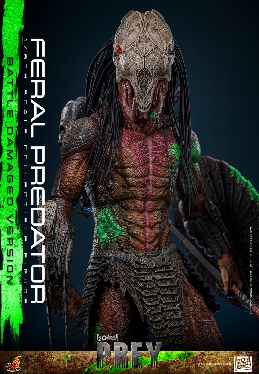 Pre order! Hot Toys TMS173 1/6th scale Feral Predator (Battle Damaged Version) Collectible Figure