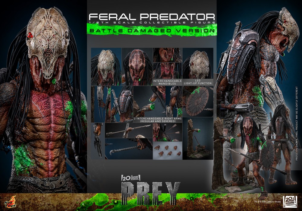 Pre order! Hot Toys TMS173 1/6th scale Feral Predator (Battle Damaged Version) Collectible Figure