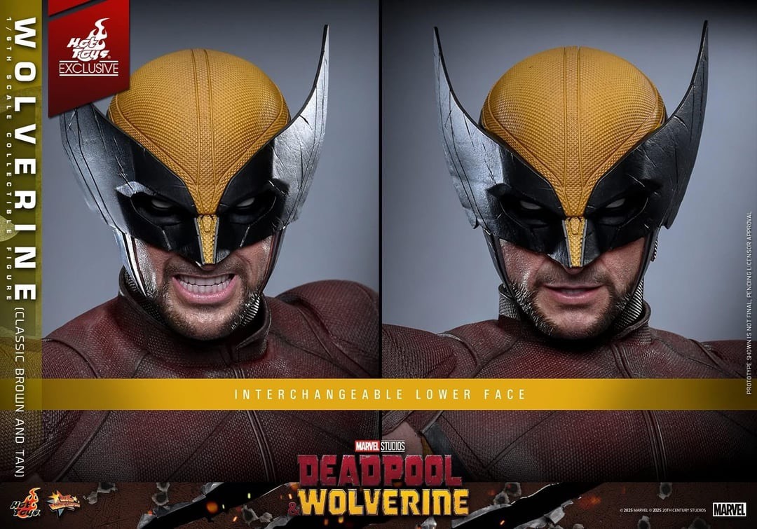 In stock! Hot Toys MMS831 Deadpool & Wolverine 1/6th scale Wolverine (Classic Brown and Tan) Collectible Figure [Hot Toys Exclusive]
