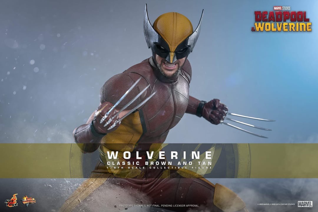 In stock! Hot Toys MMS831 Deadpool & Wolverine 1/6th scale Wolverine (Classic Brown and Tan) Collectible Figure [Hot Toys Exclusive]