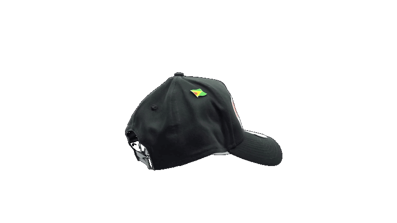 Guyana OIL New Era 9Forty Snapback Hat