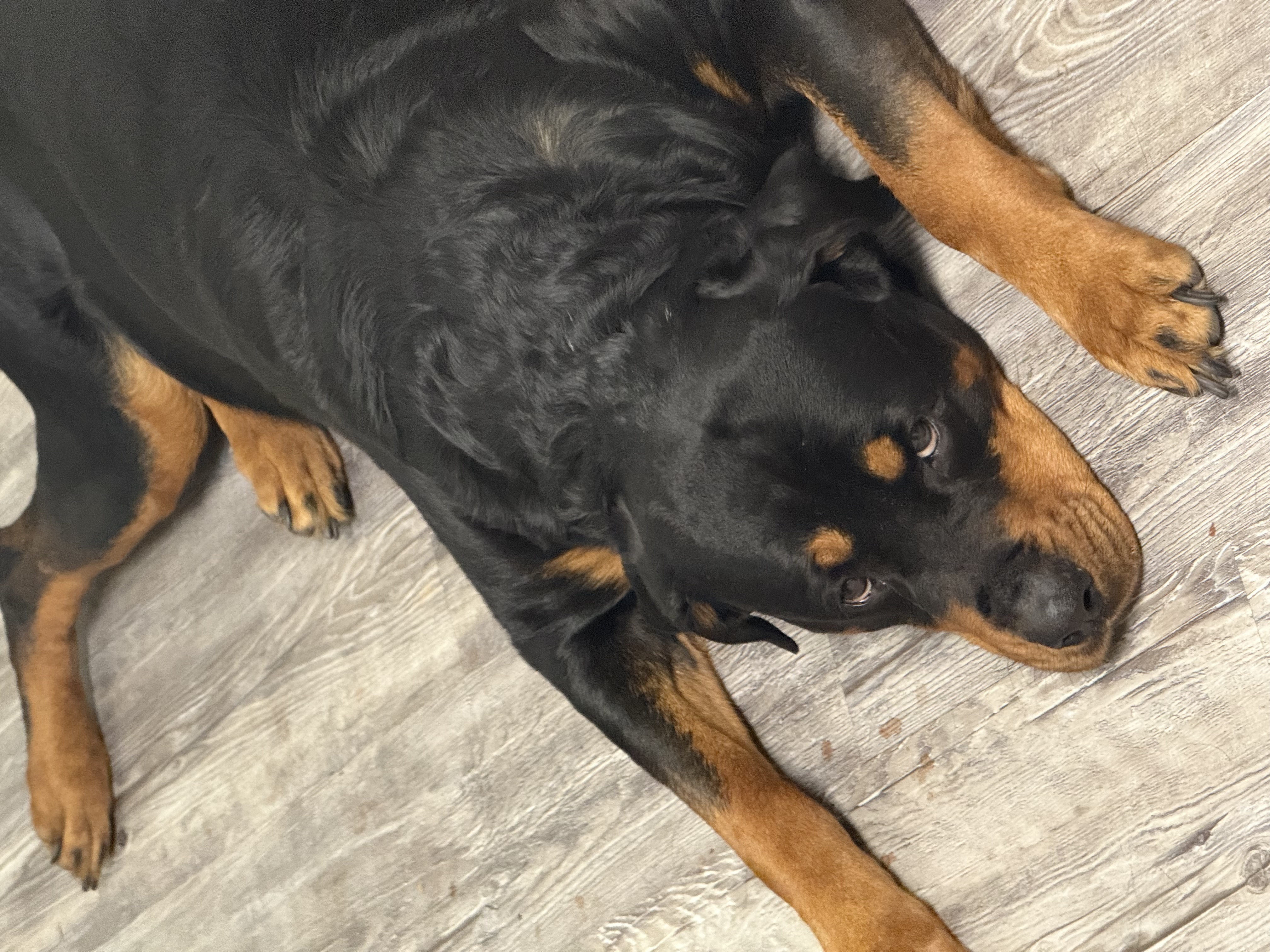 DA-DA-DA-DAAAAAA-DA-DA-DA