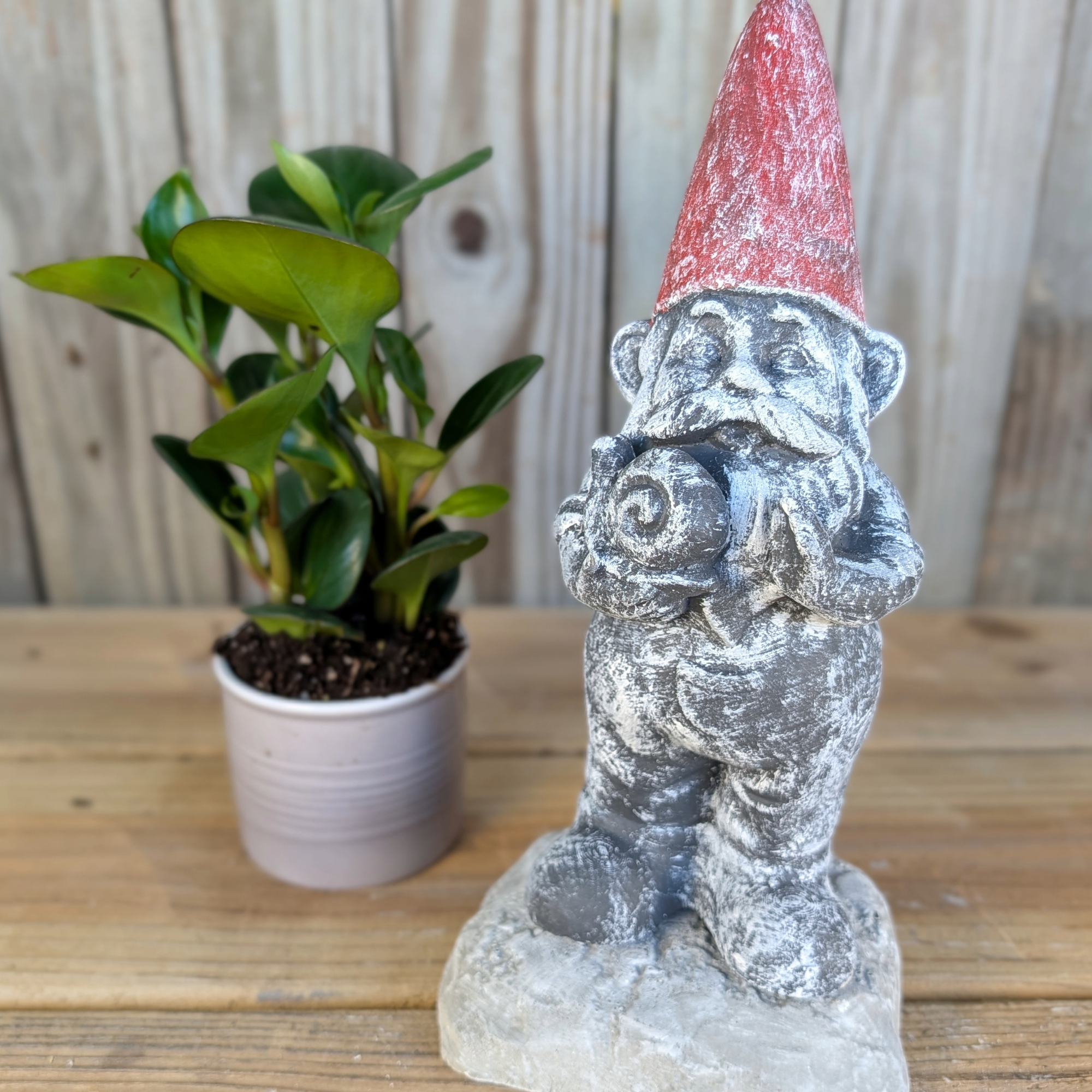 Rustic Cement Garden Gnome Statue with Snail