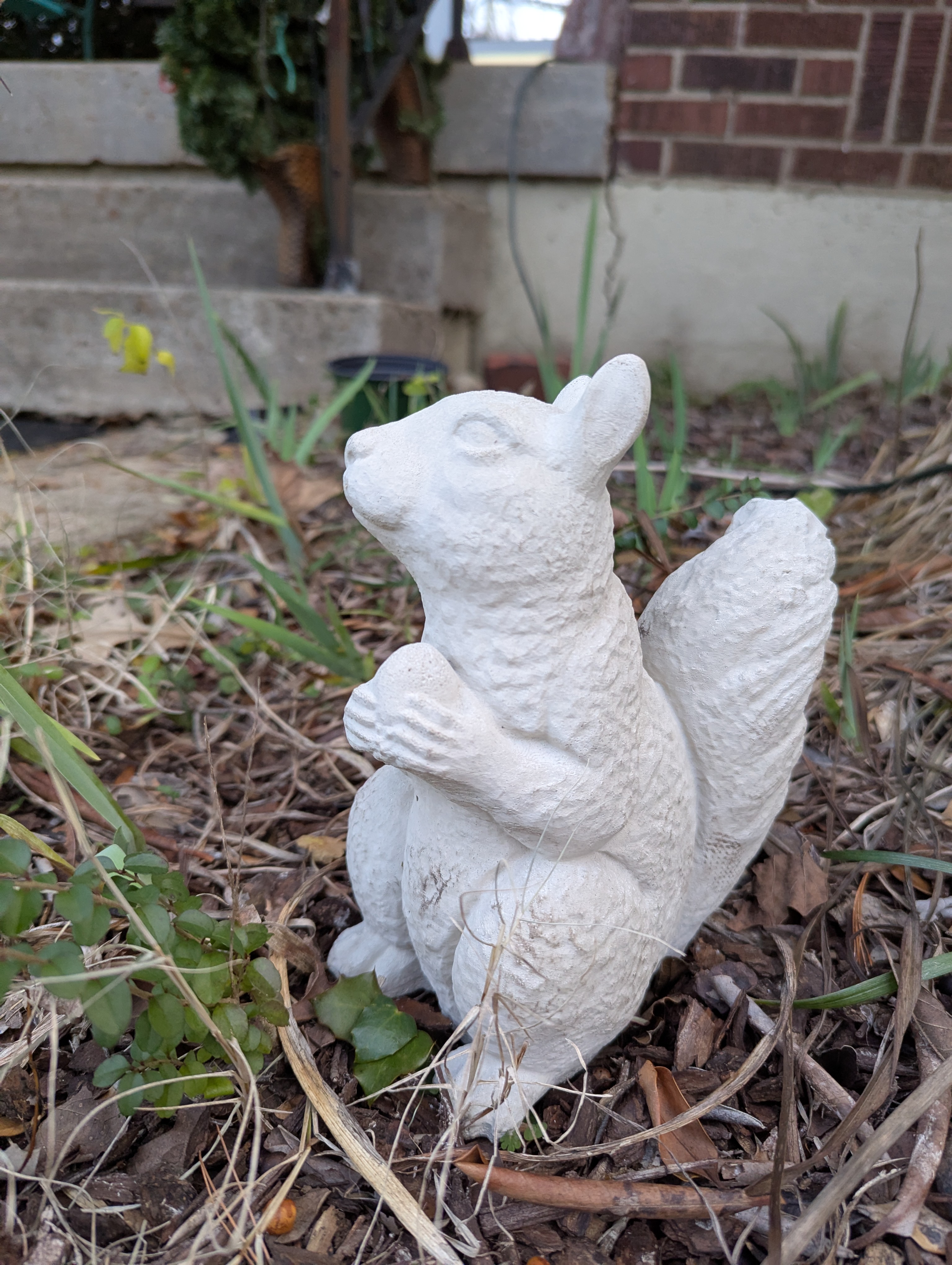 Cement Squirrel Statue