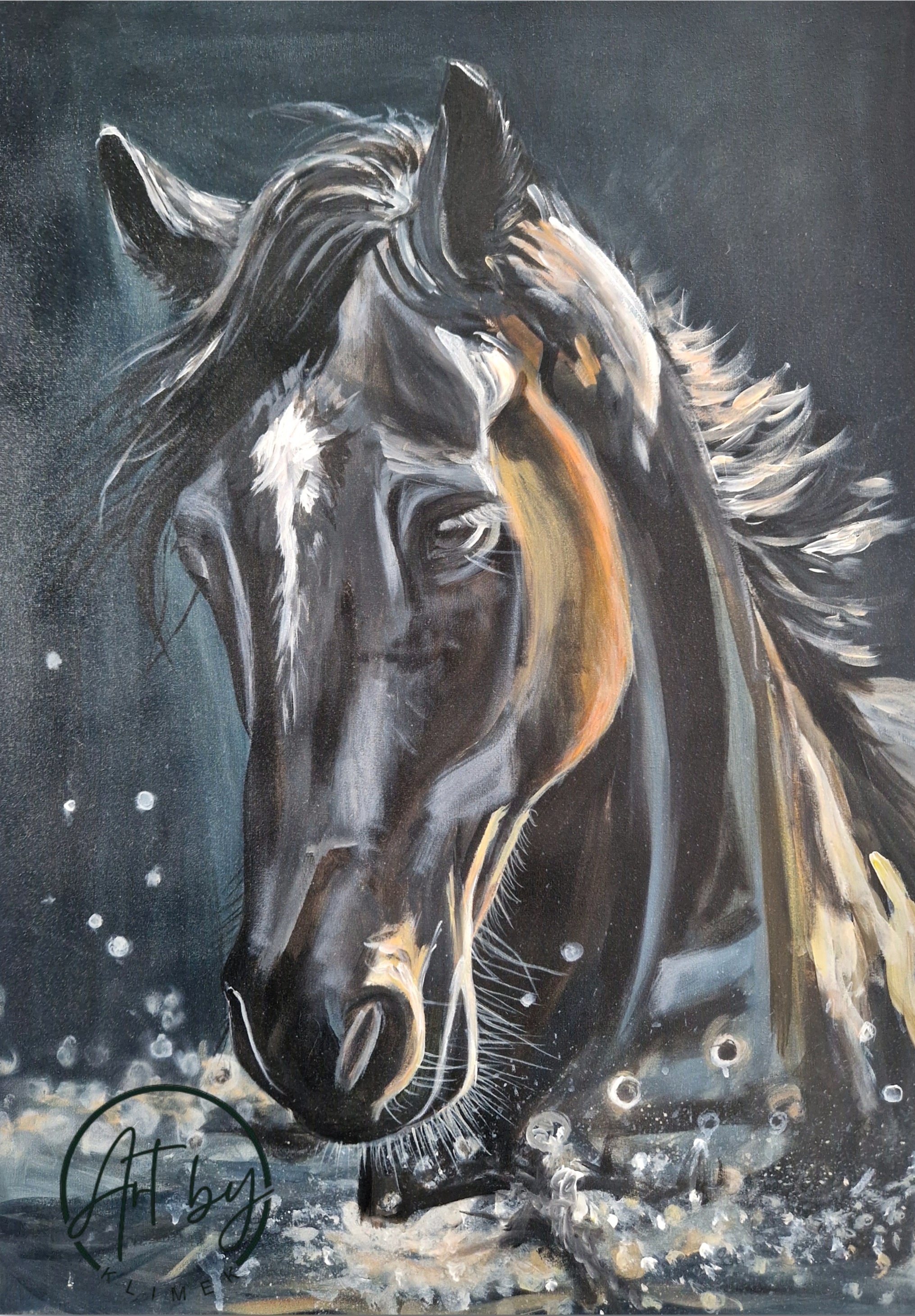 Obraz  „Czarny koń w wodzie”