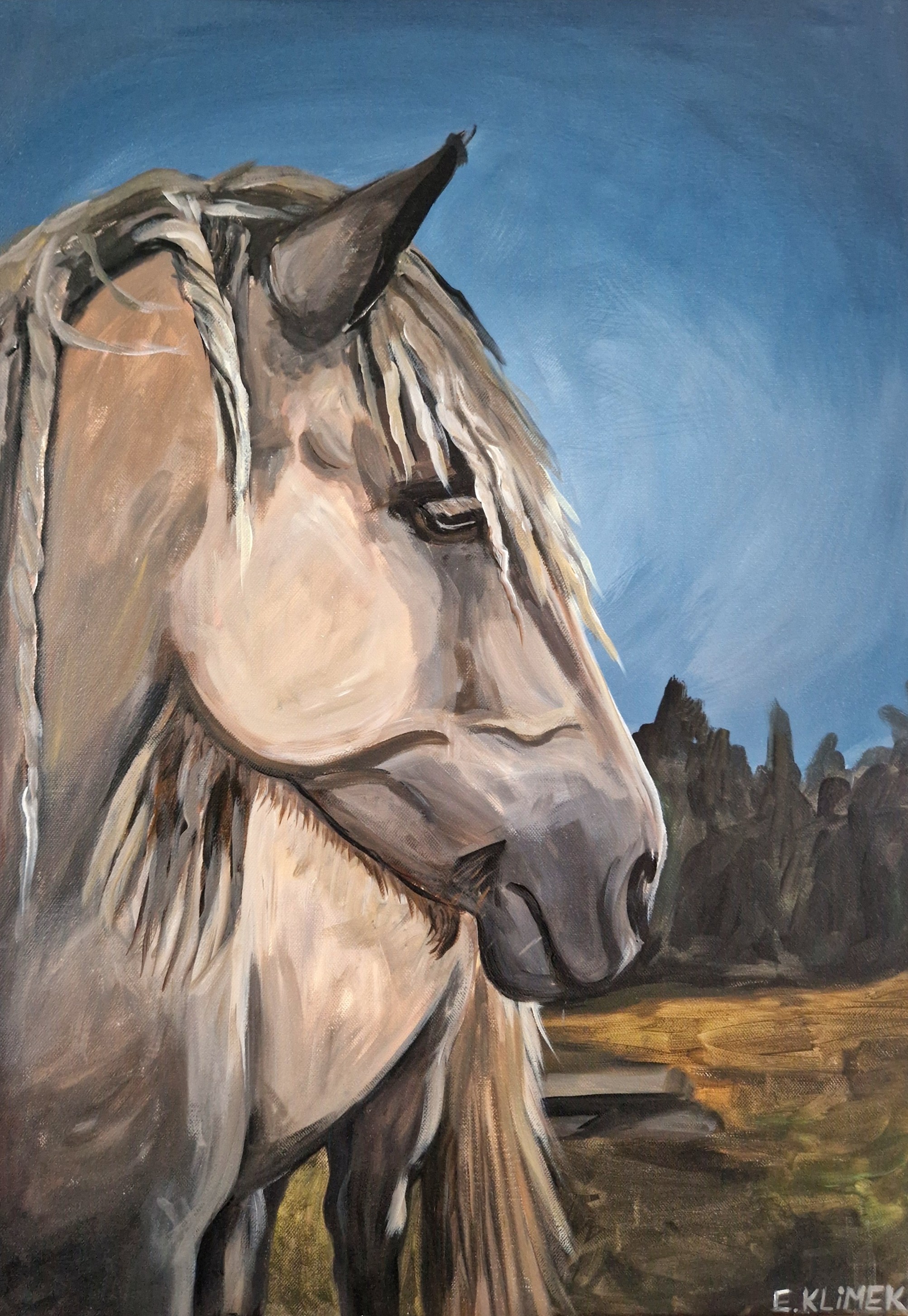 Obraz "Koń fiordzki"