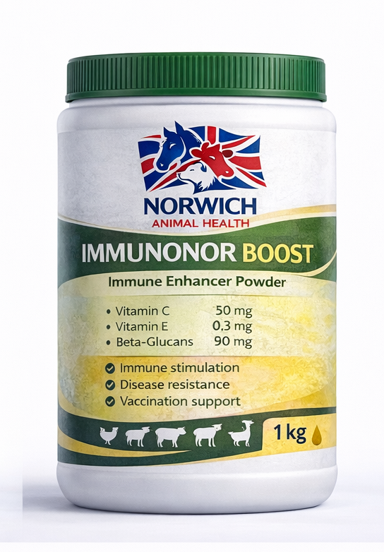 IMMUNONOR BOOST