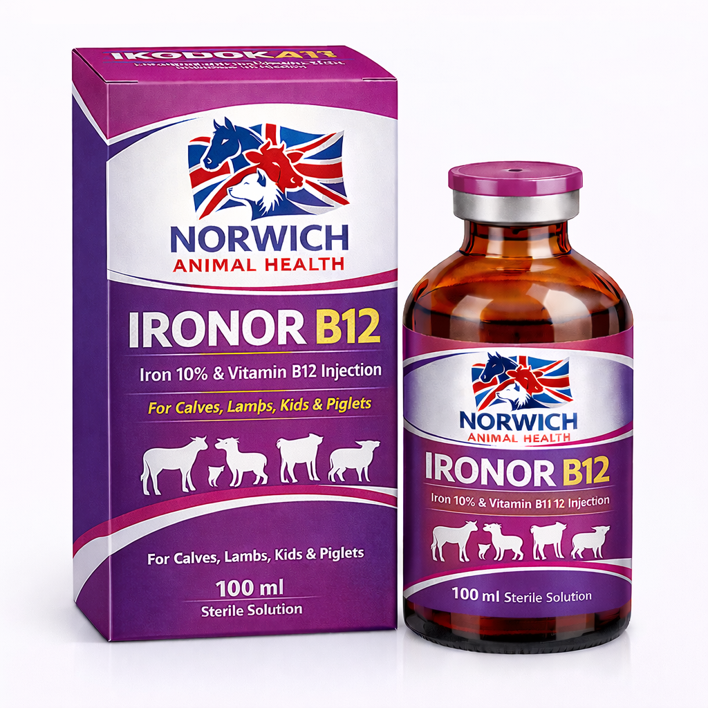 IRONOR B12