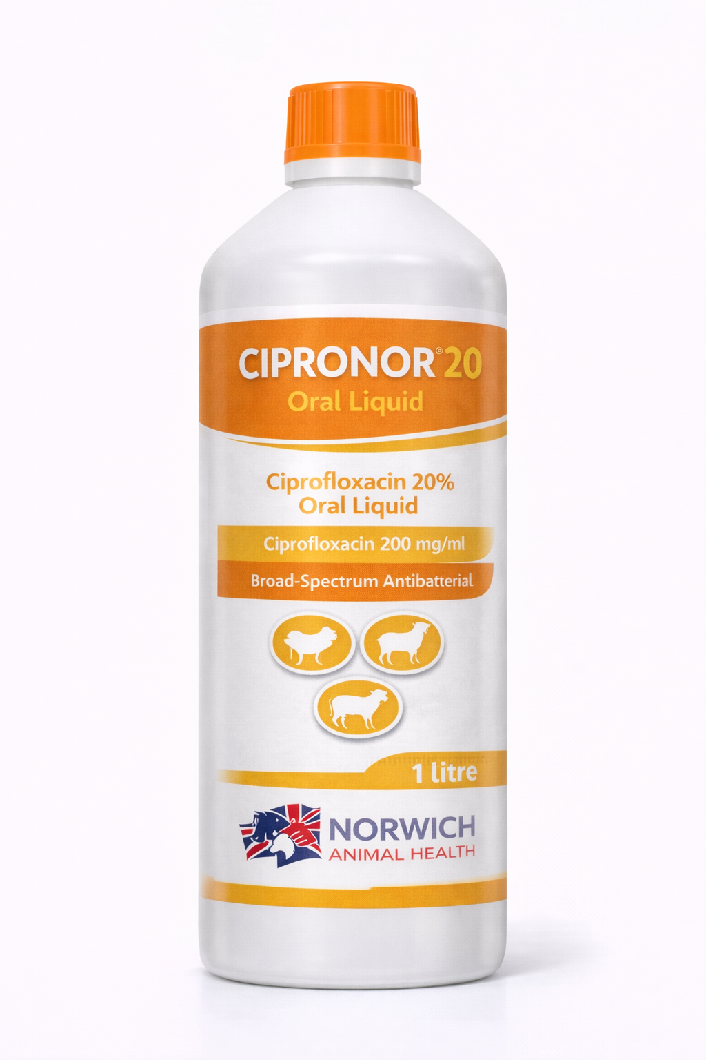CIPRONOR® 20 Oral Liquid