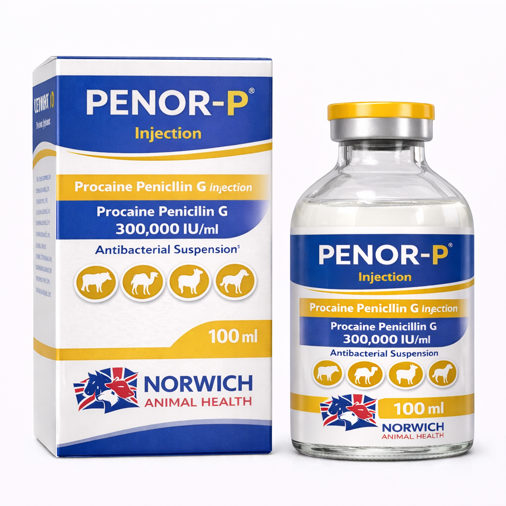 PENOR-P® Injection