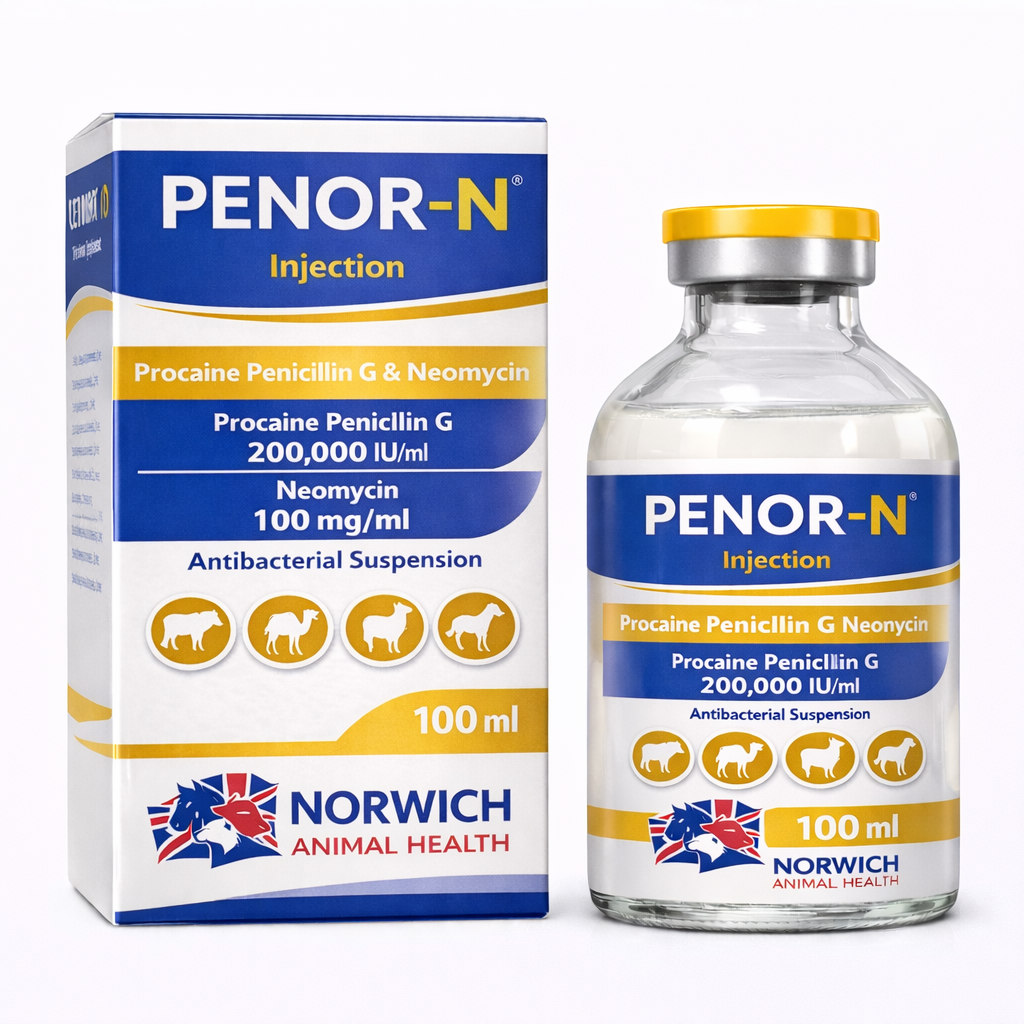 PENOR-N® Injection
