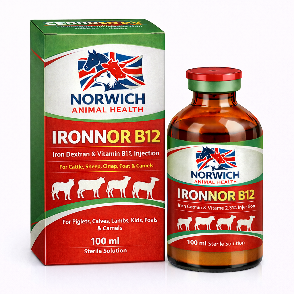 IRONNOR B12