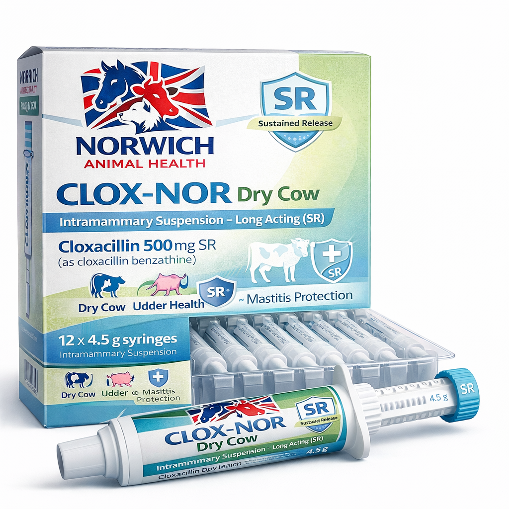 CLOX-NOR Dry Cow
