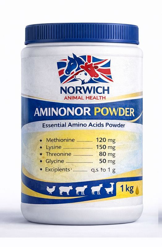 AMINONOR POWDER