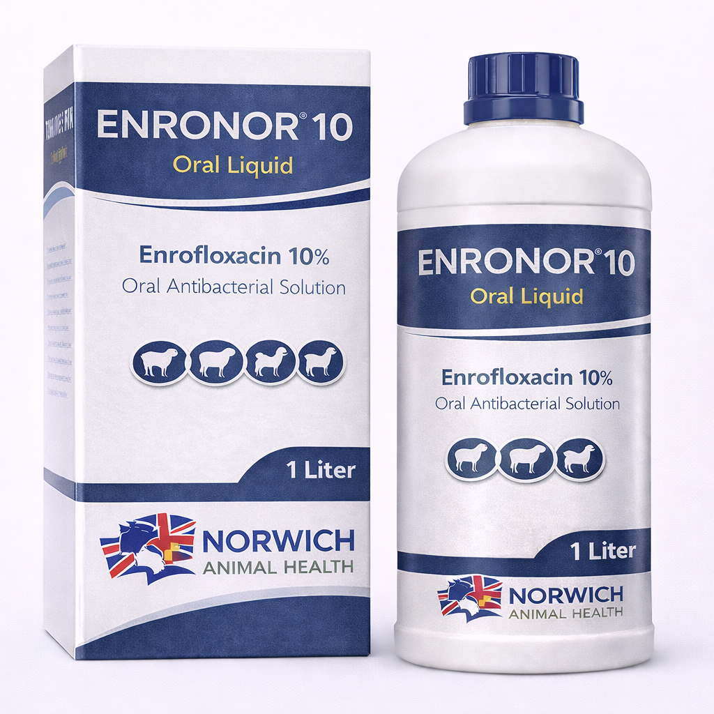 ENRONOR® 10 Oral Liquid