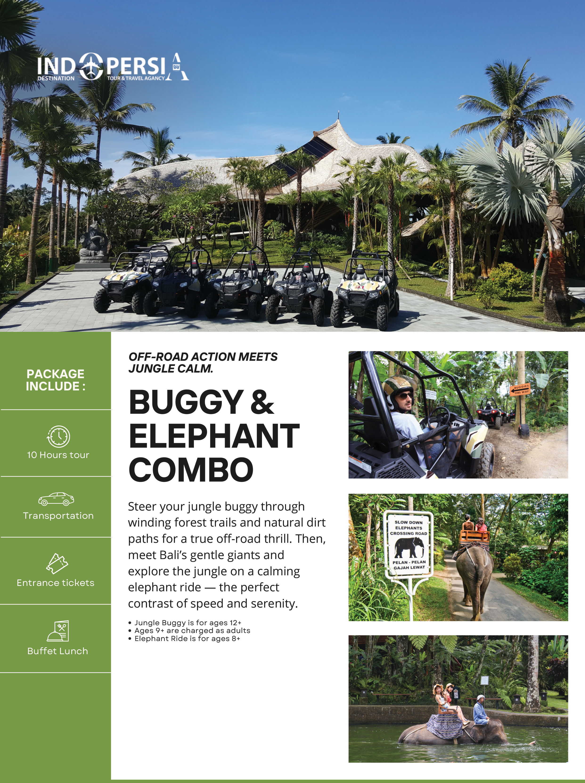 BUGGY & ELEPHANT COMBO