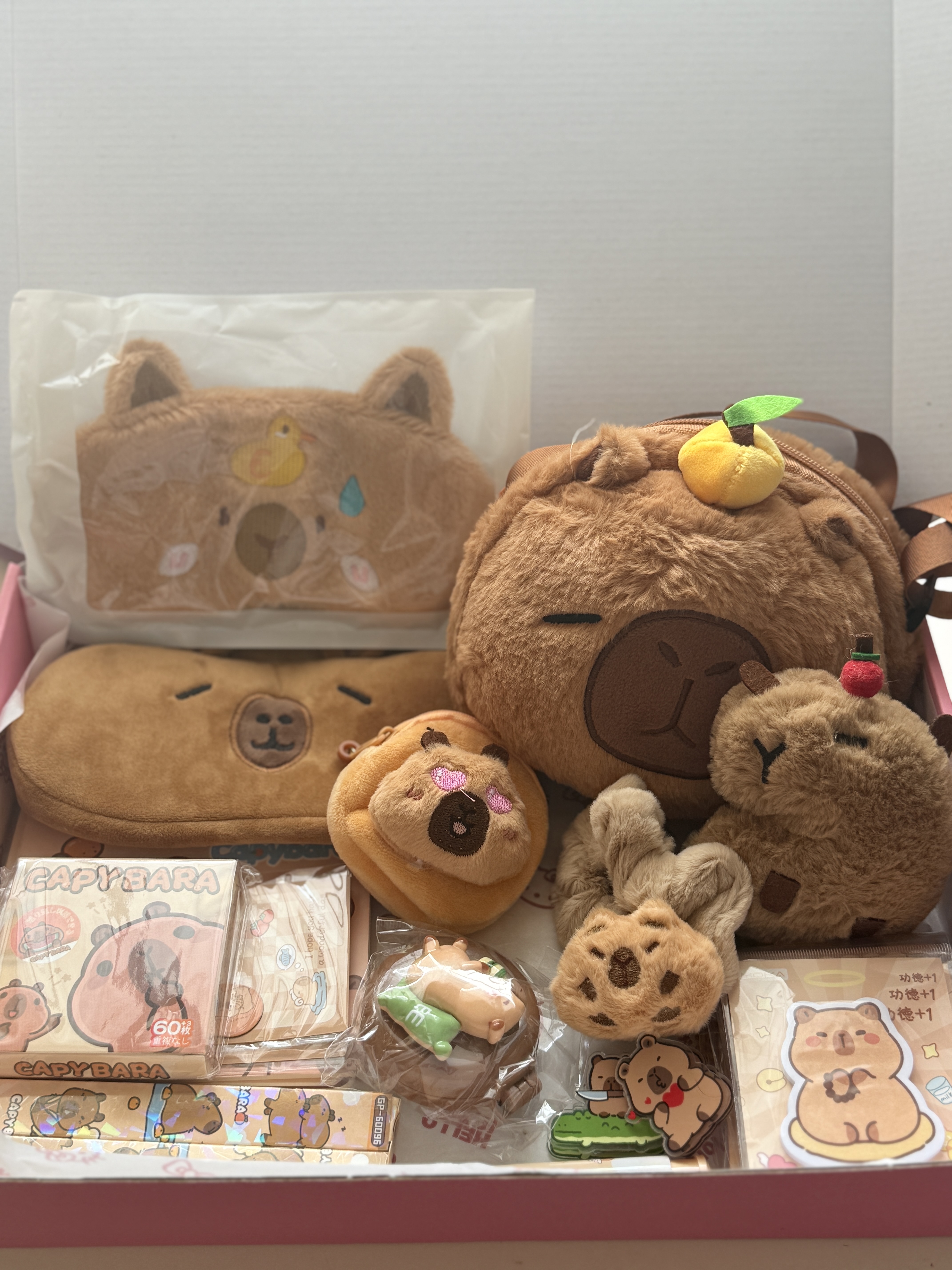 Capybara set