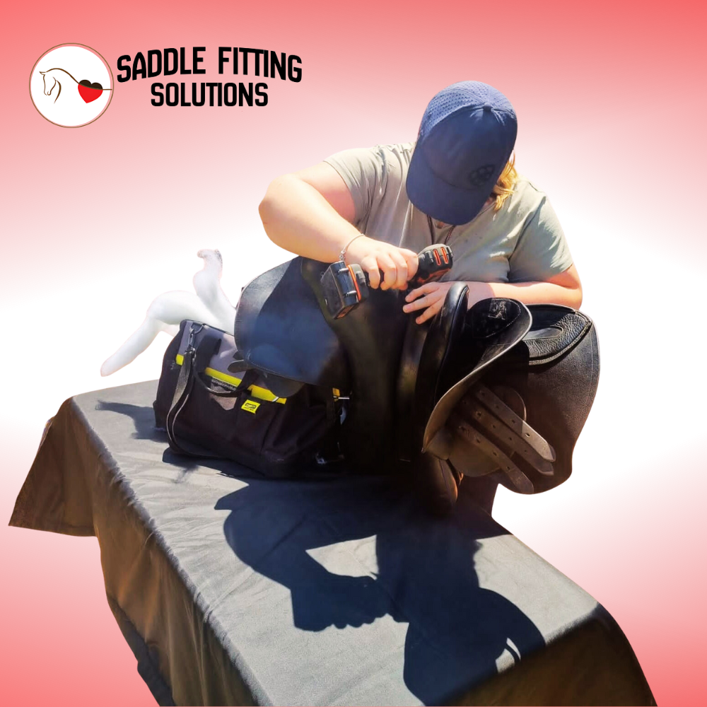 Saddle fitting consultation on existing saddle; Including flocking