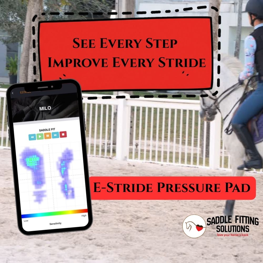 Saddle fitting consultation on existing saddle, including use of E-stride Harmony Pressure Sensing pad