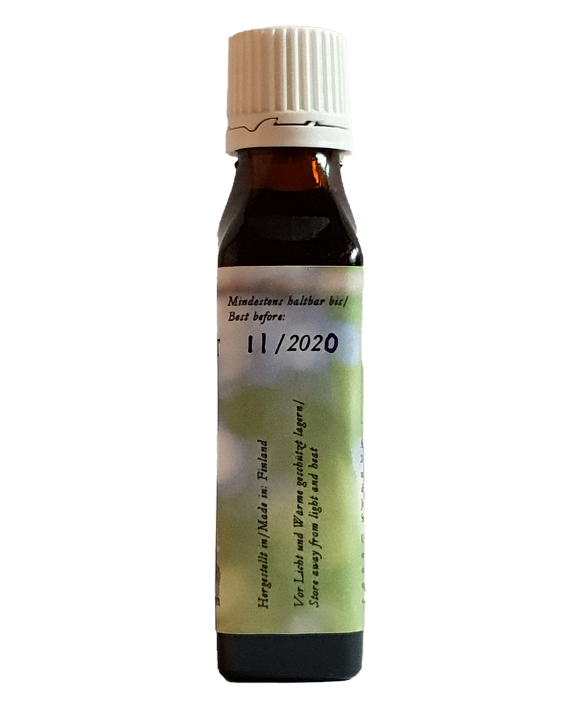 Chaga Extrakt Tropfen 50 ml – alkoholfrei, hochkonzentriert