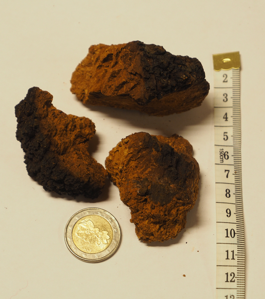 Chaga Brocken - 200 Gramm