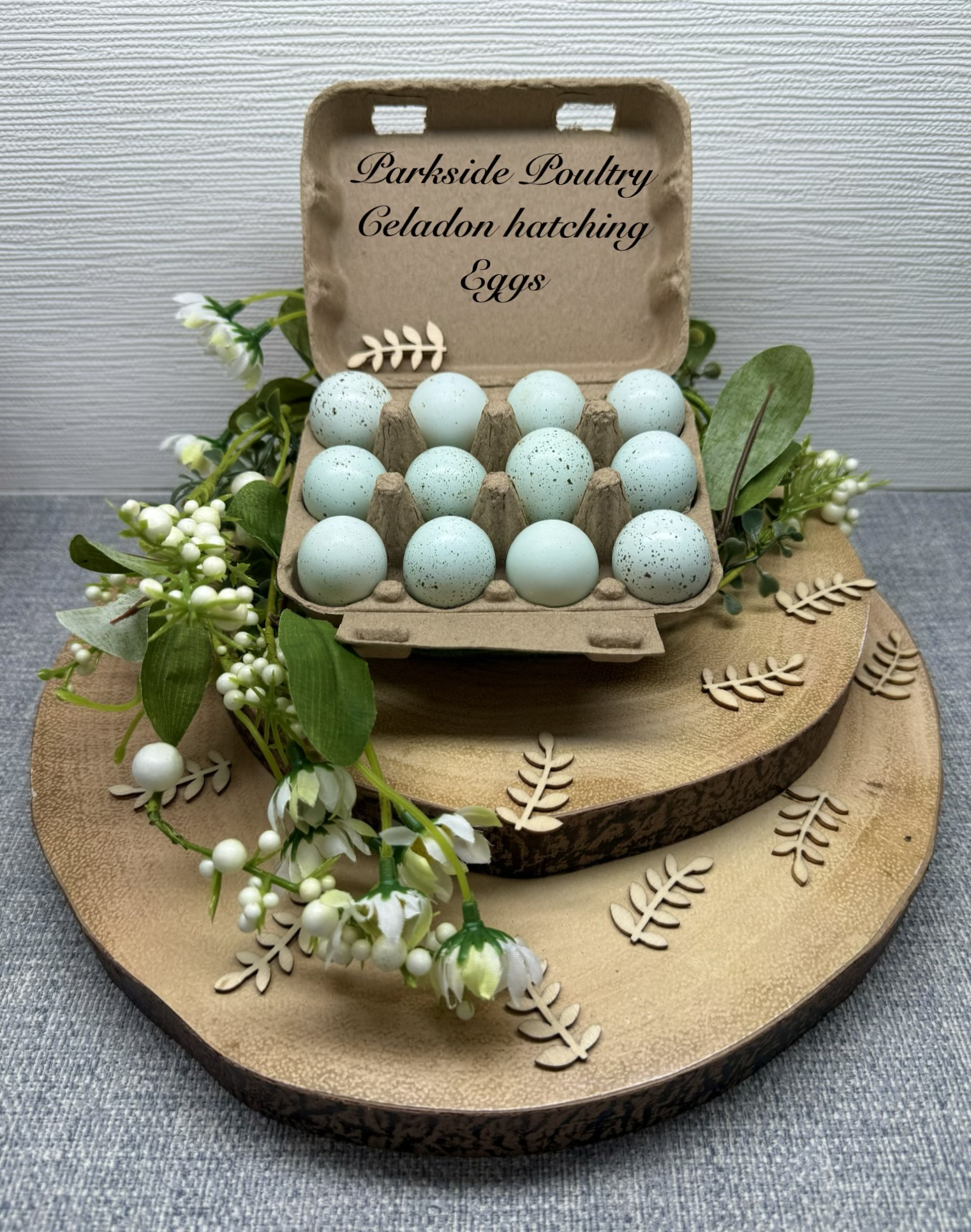 Celadon Quail Hatching Eggs multiples of x12