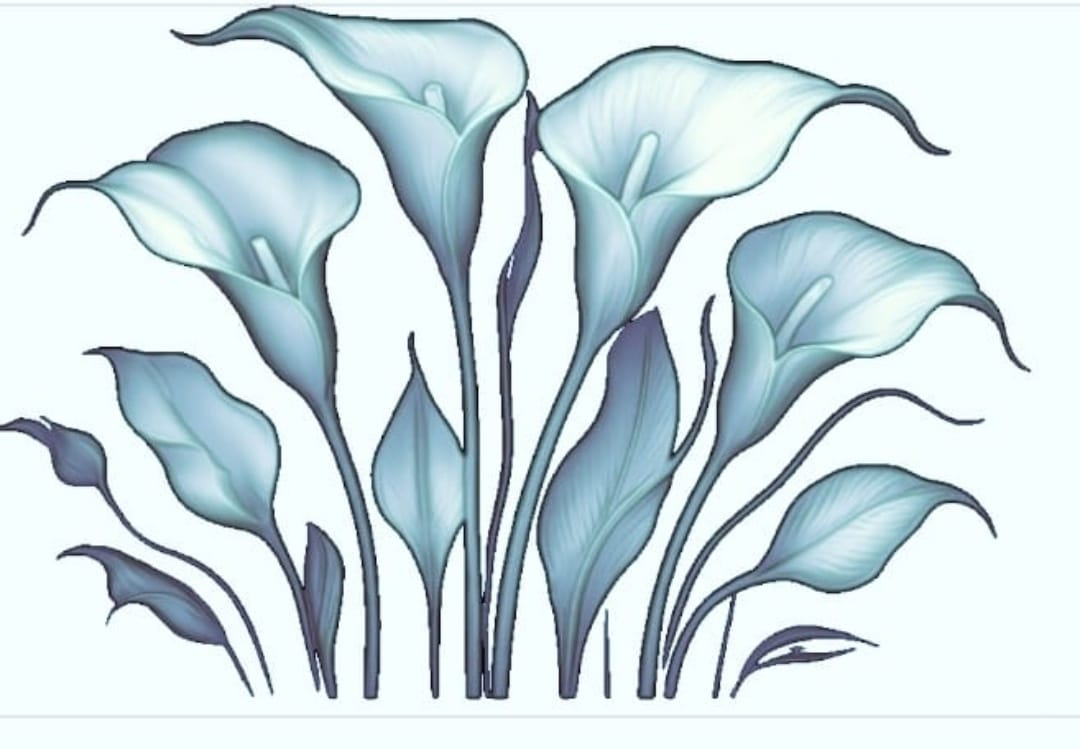 Elegant Calla Lily Art Print