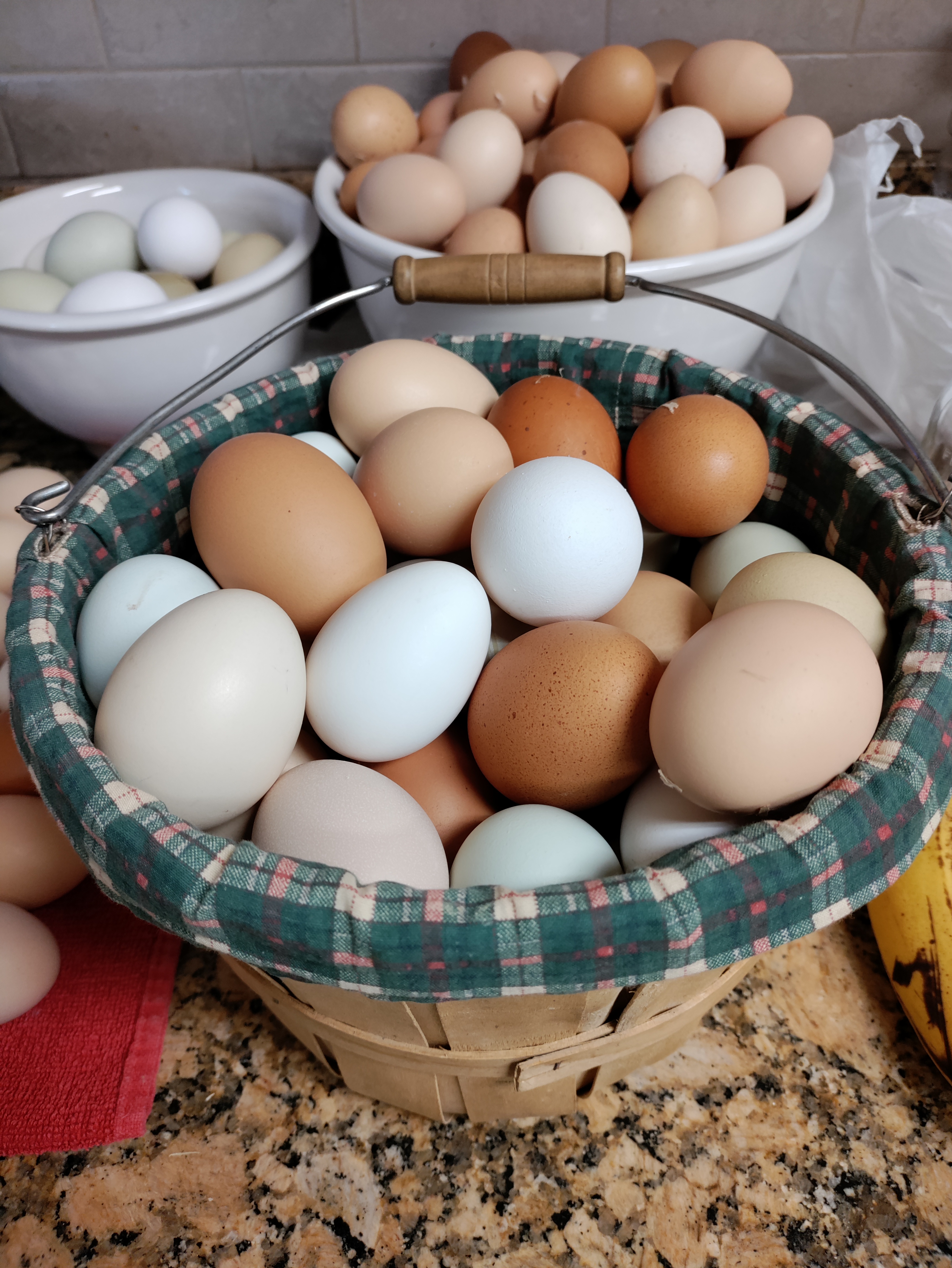 1 Year Supply Freeze-Dried Pasture Eggs