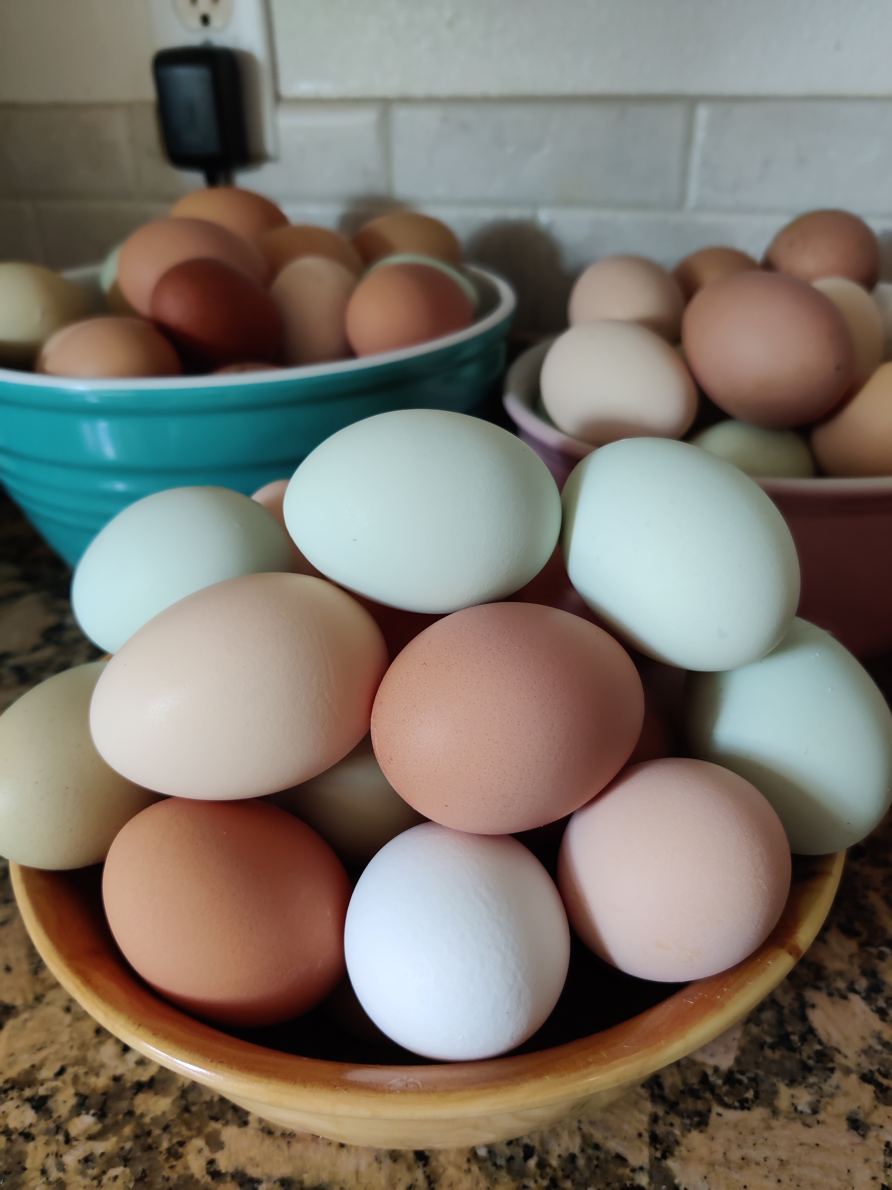 6 Month Supply Freeze-Dried Pasture Eggs