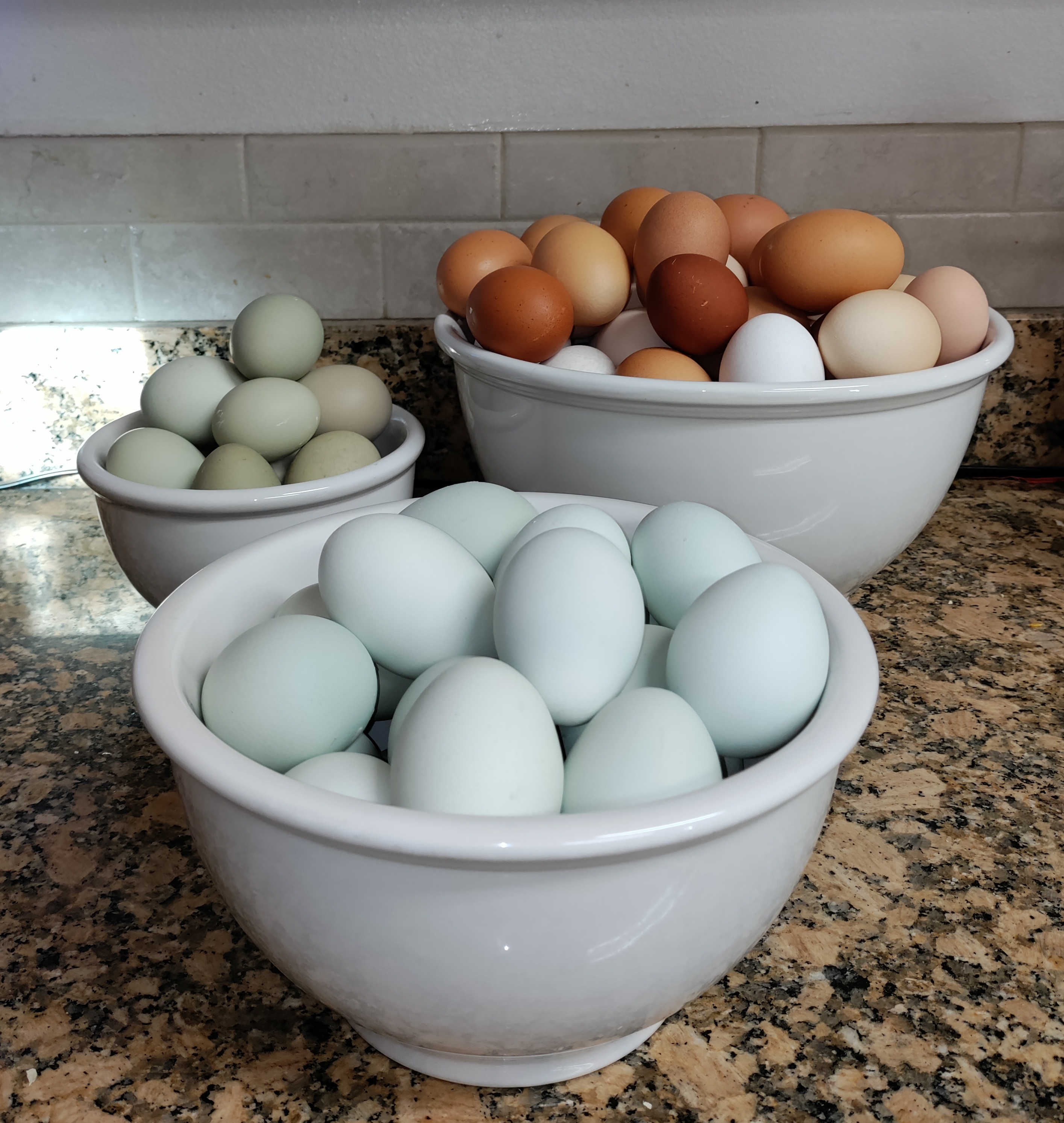 3 Dozen Freeze-Dried Pasture Eggs