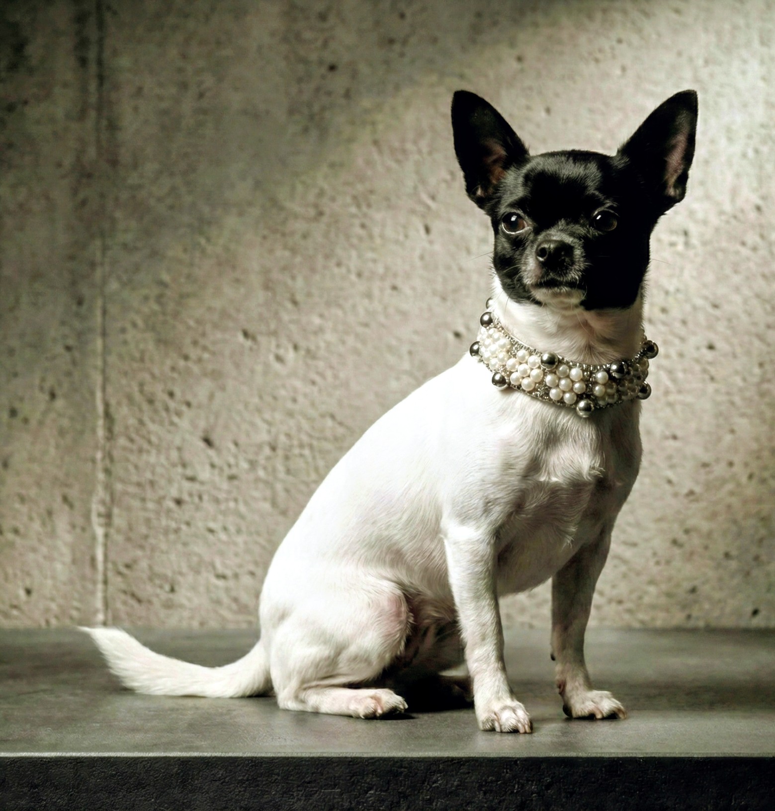 Capricho Real: Perlas