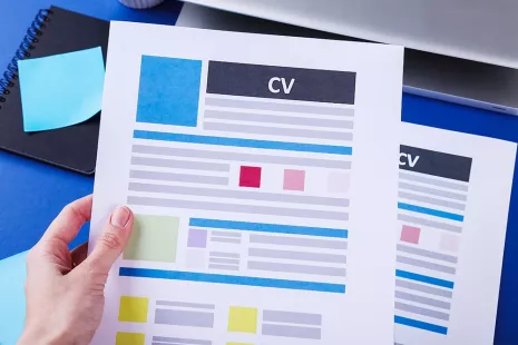 Professional CV Writing Service