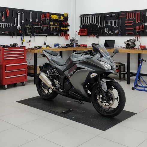 Kawasaki Ninja 250 FI Grey 2013