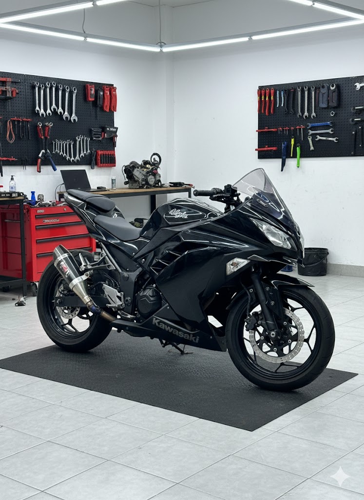 Kawasaki Ninja 250 FI Black 2012