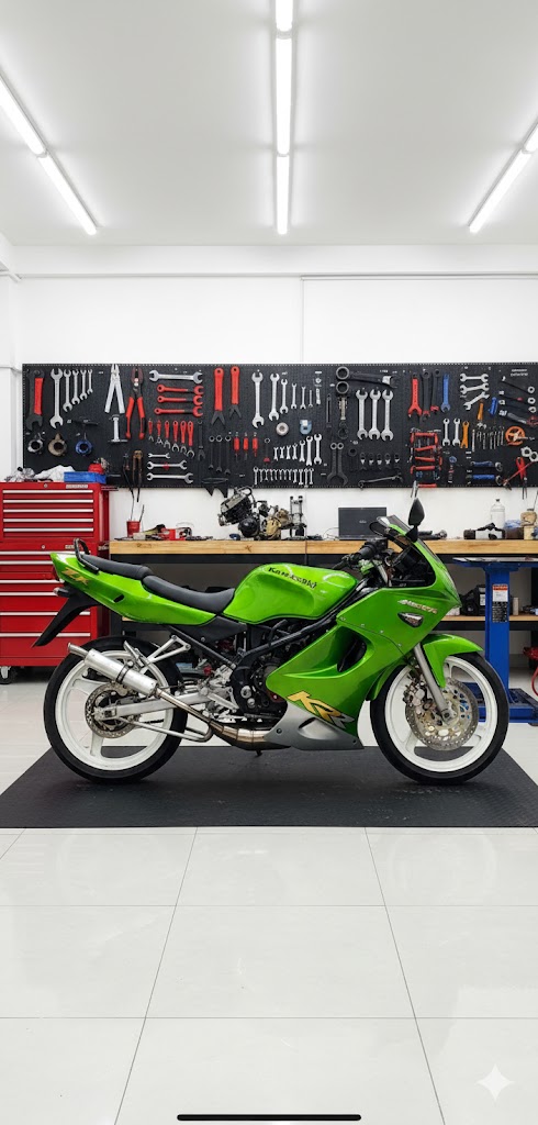 Kawasaki Ninja RR Old Green 2010