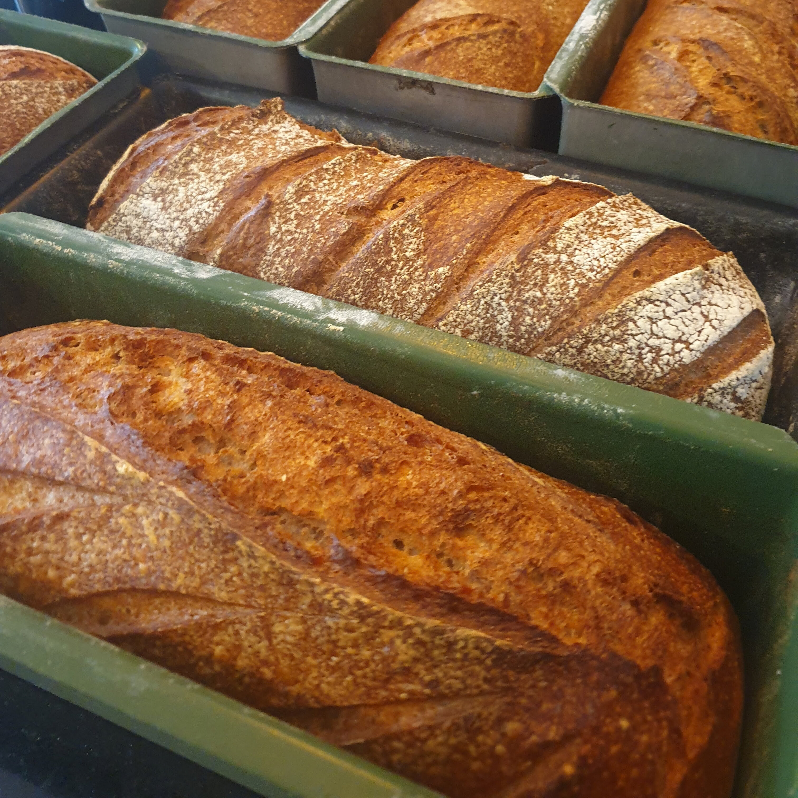 Tam Buğday Unlu Ekşi Maya Ekmek ( 900 gram )