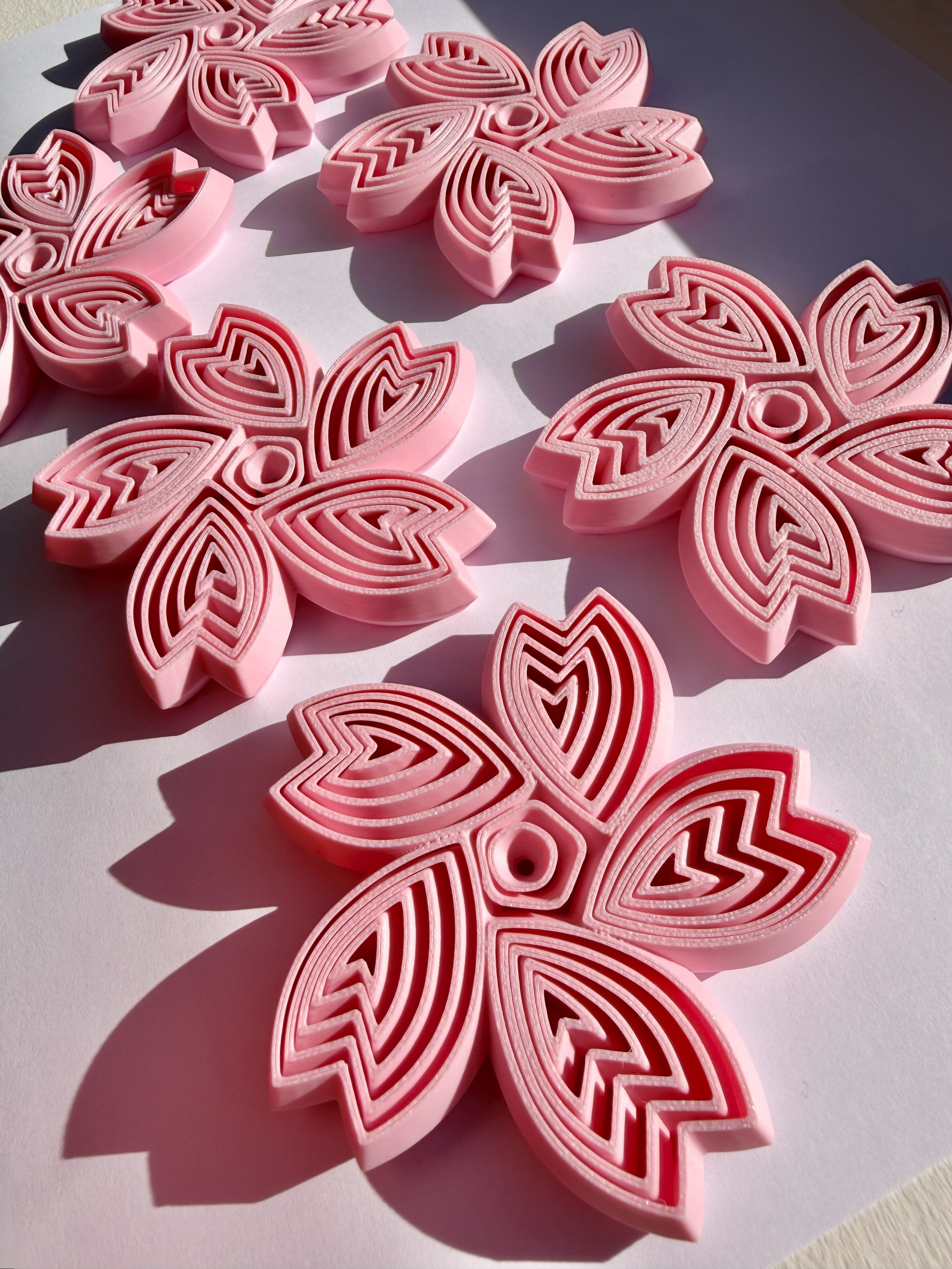 Sakura in Helensburgh