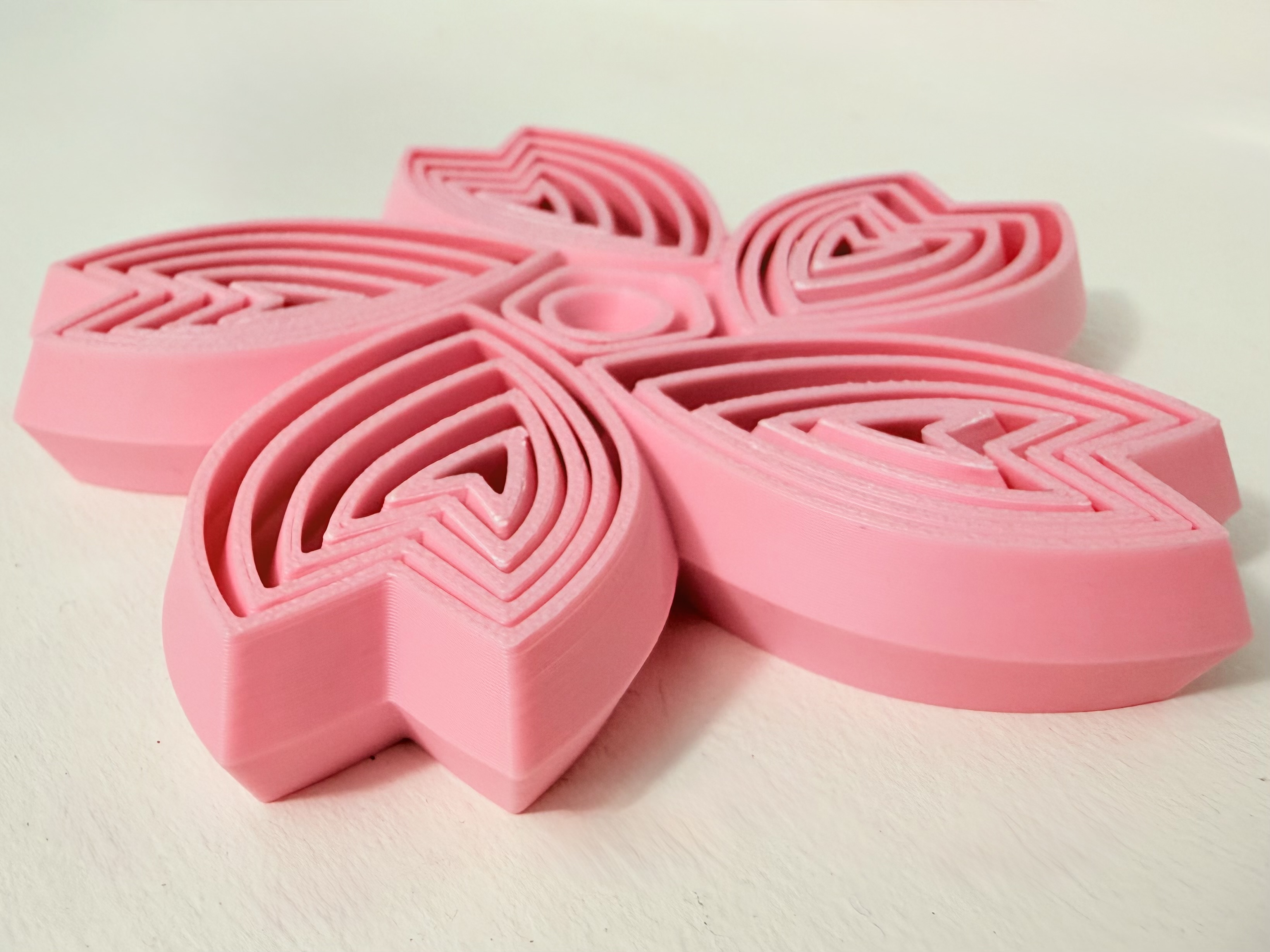 Sakura in Helensburgh