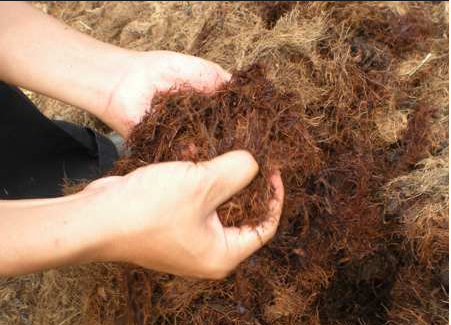 Pupuk Organik Solid Decanter Sawit ( Per 10 Ton) 