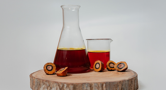 Crude Palm Oil (CPO) Grade A – Bulk Supply / 10 Ton