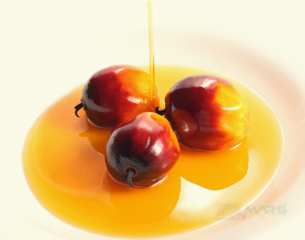 Palm Kernel Oil (PKO) – Cosmetic Grade ( Per 2 Ton )